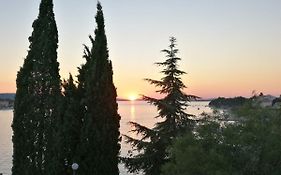 Dalmatino